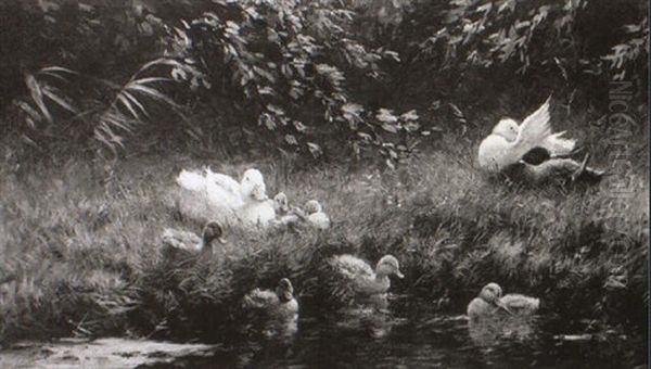 Enten Am Teich - view 1