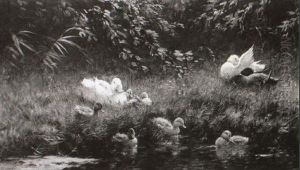 Enten Am Teich by David Adolph Constant Artz