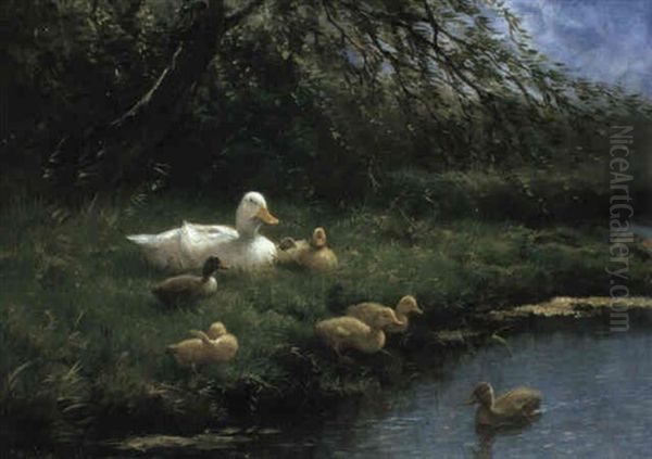 Family Of Ducks By A River - view 1
