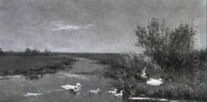 Enten An Einem Altwasser In Weiter Wiesenlandschaft Enten An Einem Altwasser In Weiter Wiesenlandschaft