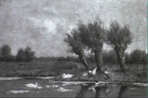 Enten Und Goessel An Einem Gewaesser, Am Ufer Drei          Kopfweiden