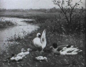 Enten Am Flussufer Enten Am Flussufer