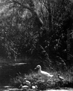 Ducks Along A Pond