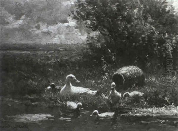 Ente Mit Kuken An Einem Teichufer - view 1