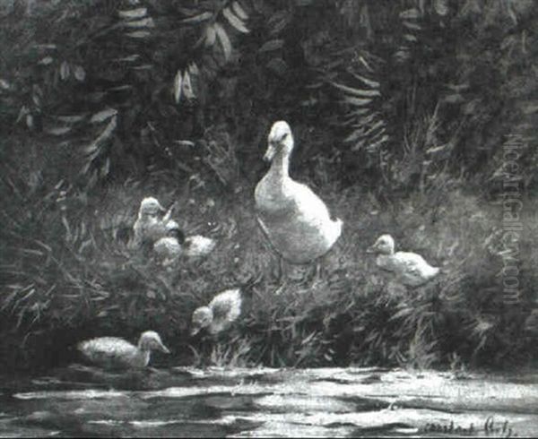 Ducks By A Pond - view 1