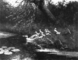 A Duck With Ducklings Having A Swim