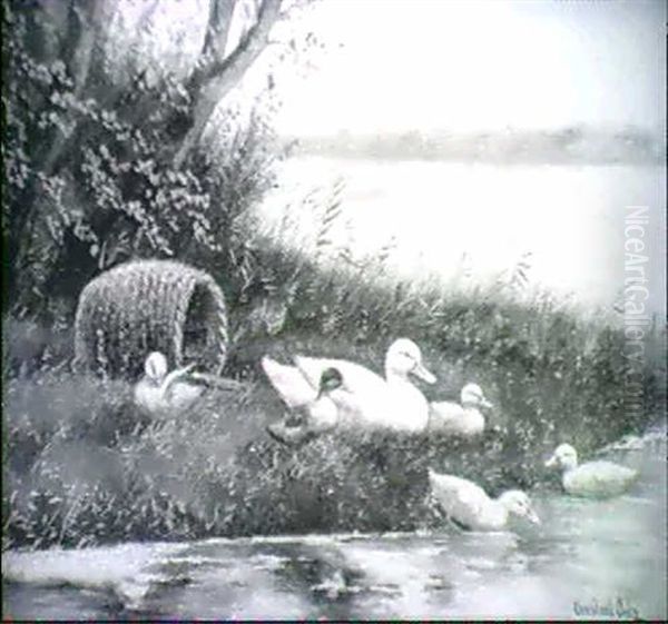Ente Mit Jungen Am Wasser - view 1