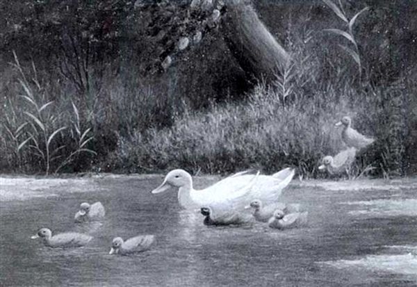 Entenfamilie An Einem Schilfbewachsenen Teich - view 1