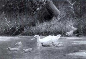 Entenfamilie An Einem Schilfbewachsenen Teich by David Adolph Constant Artz