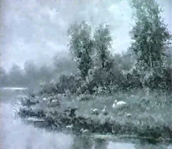 Ducks And Duckings On A River Bank - view 1