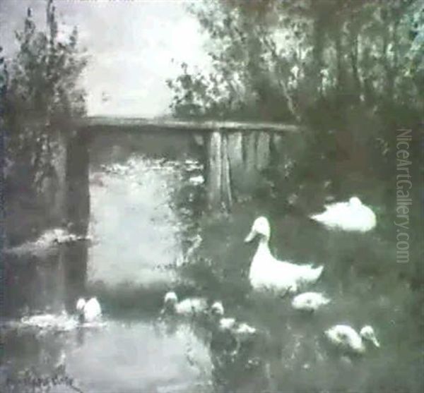 Enten Und Gossel An Einem Bach - view 1