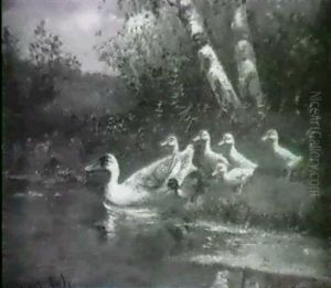 Ducks And Ducklings On A Riverbank.