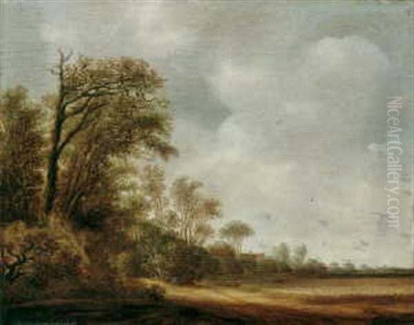 Sommerliche Dunenlandschaft - view 1