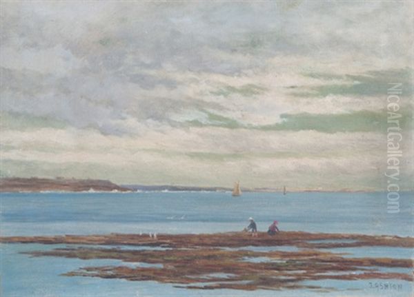 Bait Catching - view 1