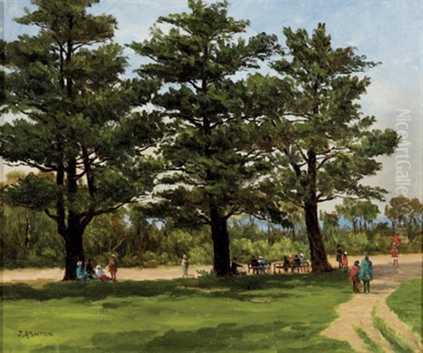 Under The Trees Kings Park - view 1