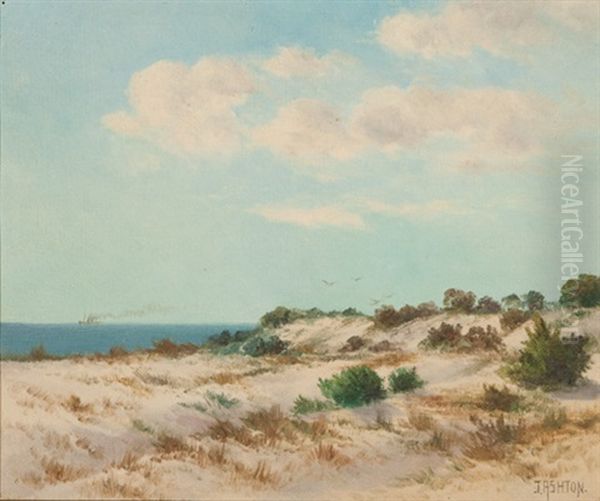 Sand Dunes - view 1