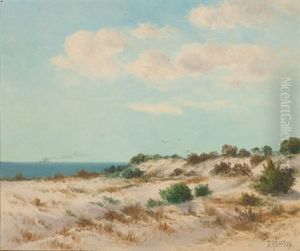 Sand Dunes by James Ashton
