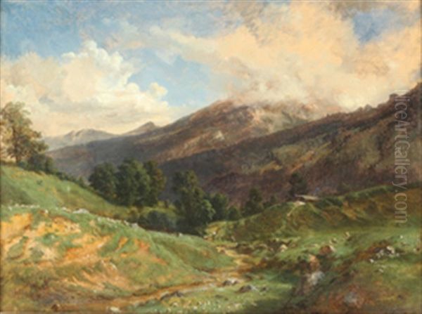 Dalparti - view 1
