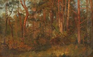 Furuskog by Anders Monsen Askevold
