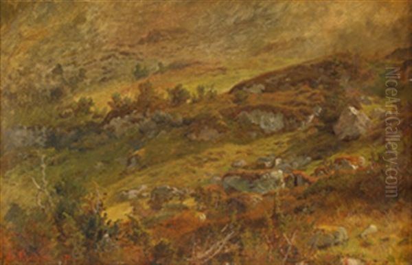 Hoyfjell Landskap - view 1
