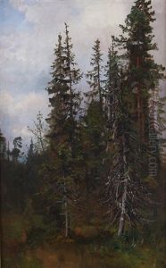 Skogstudie by Anders Monsen Askevold