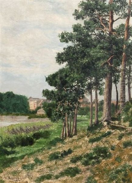 Waldlandschaft - view 1