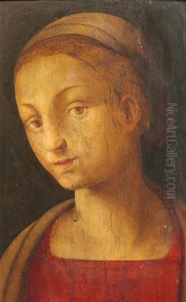 Bust Length Portrait Of A Lady In A Red Dress - view 1