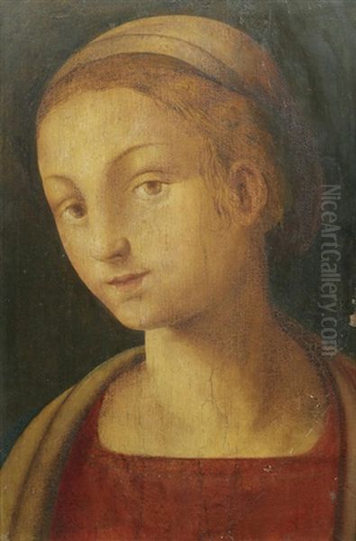 Portrait Of A Lady, Bust-length, In A Red Dress - view 1