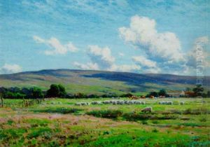 The Cloud Shadow On The Fell, Hornby by Reginald Aspinwall