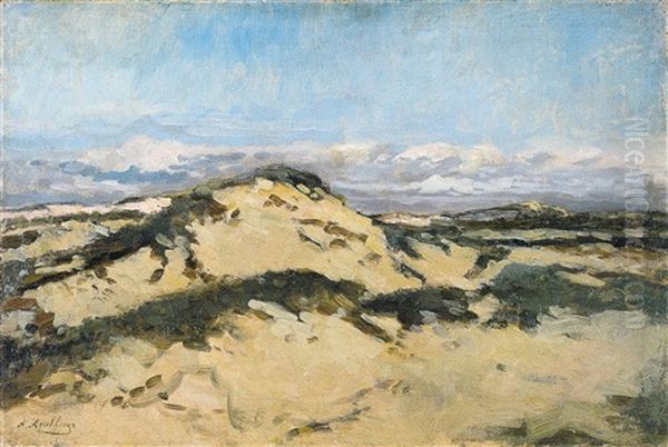 Duinen - view 1