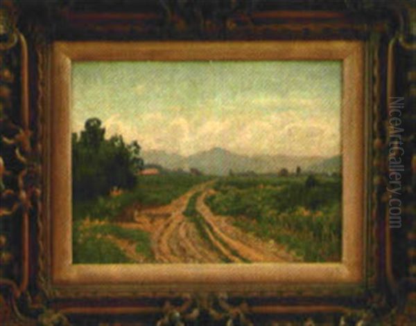 Feldweg In Voralpenland - view 1