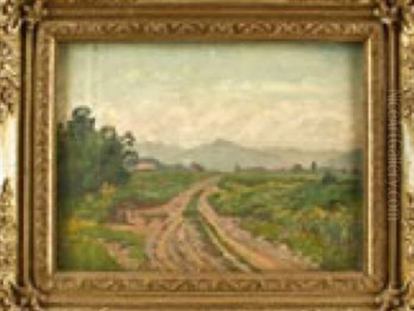 Feldweg In Voralpiner Landschaft - view 1