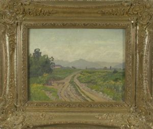 Feldweg In Weiter Voralpiner Landschaft by Fanny Assenbaum