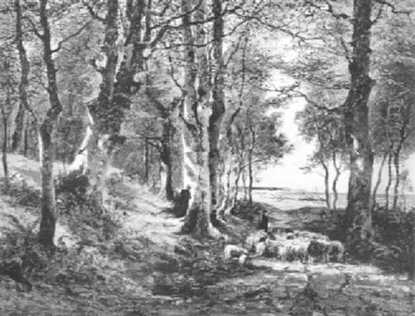 Waldpartie Auf Der Insel Rugen - view 1