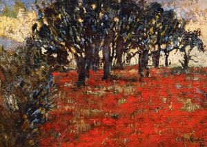 Field Of Poppies by Heinrich Assmann