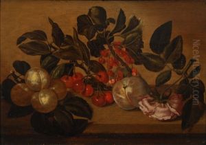 Prunes, Cerises, Groseilles, Peche Et Rose Sur Un Entablement