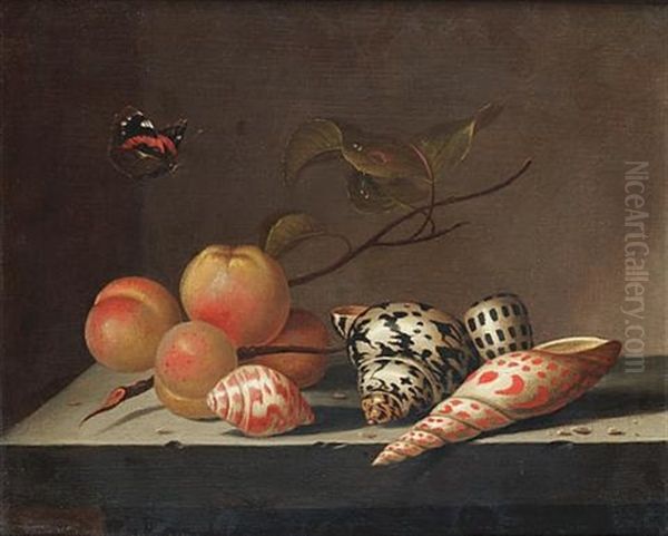 Peaches And Shells On A Stone Ledge With A Red Admiral Butterfly - view 1
