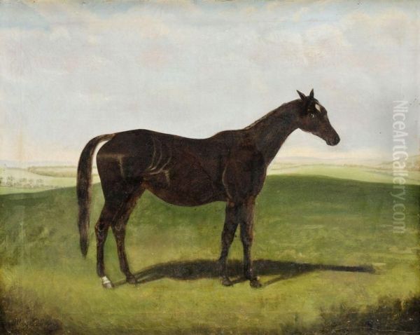 Kon - view 1