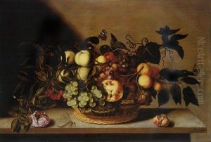Grapes, Cherries, Peaches And Other Fruit In A Basket, With A Rose And A Dragonfly On A Stone Ledge by Bartholomeus Assteyn