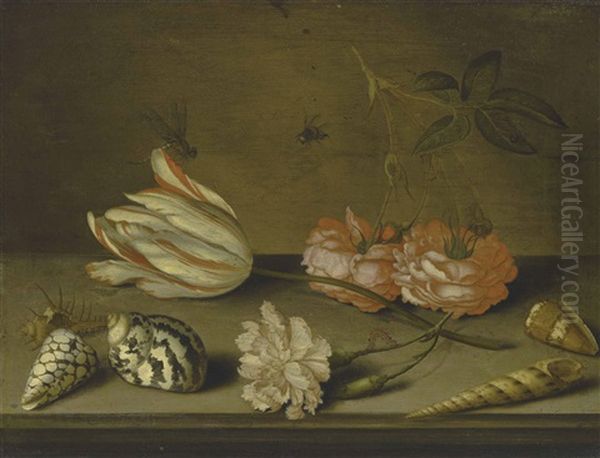 A Semper Augustus Tulip, A Carnation And Roses, With Shells And Insects, On A Ledge - view 1
