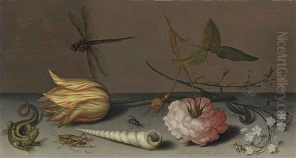 A Tulip, A Carnation, Spray Of Forget-me-nots, With A Shell, A Lizard And A Grasshopper On A Ledge, A Dragonfly In Flight - view 1