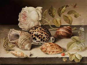 Kleines Stilleben Mit Meeresmuscheln Und Meeresschnecken Zwischen Rose, Erdbeeren Und Eidechse by Balthasar Van Der Ast