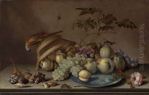 Pears, Grapes And A Peach On A Porcelain Platter, With Apples, A Rose, Shells, A Dragonfly, A Caterpillar And A Lizard On A Stone Ledge... by Balthasar Van Der Ast