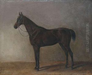 A Brown Gelding by Adam Albrecht