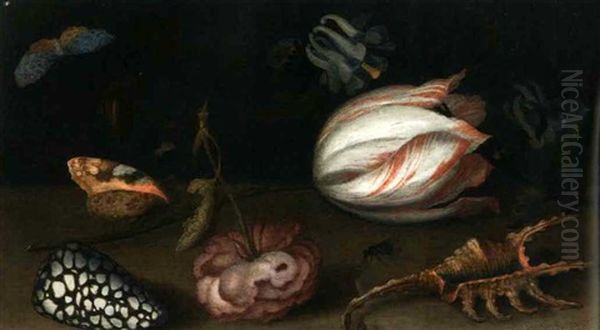 Stilleben Mit Einer Tulpe, Einer Rose, Muschel Und Einem Schmetterling (+ Stilleben Mit Einer Nelke, Einer Schnecke, Muschel Und Einer Heuschrecke; Pair) - view 1