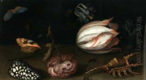 Stilleben Mit Einer Tulpe, Einer Rose, Muschel Und Einem Schmetterling (+ Stilleben Mit Einer Nelke, Einer Schnecke, Muschel Und Einer Heuschrecke; Pair) by Balthasar Van Der Ast