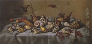 Stillleben Mit Muscheln by Balthasar Van Der Ast