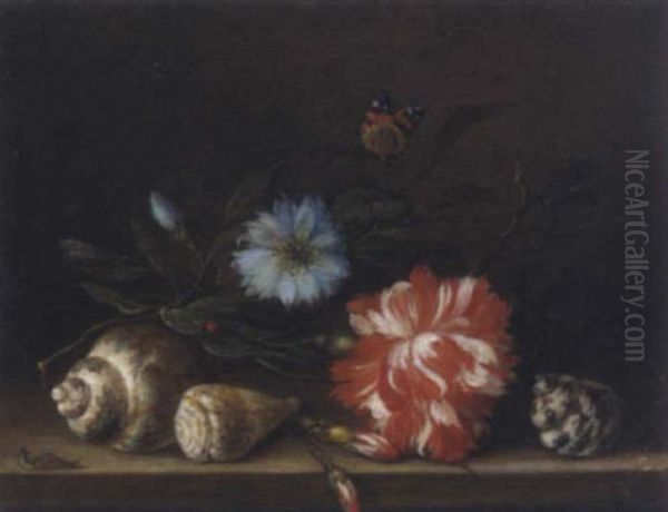 Stilleben Mit Muscheln Und Blumen - view 1