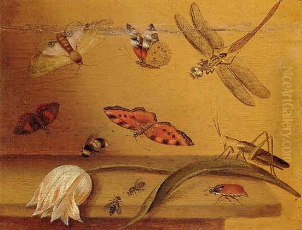 A Tulip Lying On A Table With A Grasshopper, A Bee, Butterflies And Other Insects - view 1