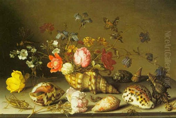 Still Life Of Flowers, Shells And Insects On A Stone Ledge - view 1
